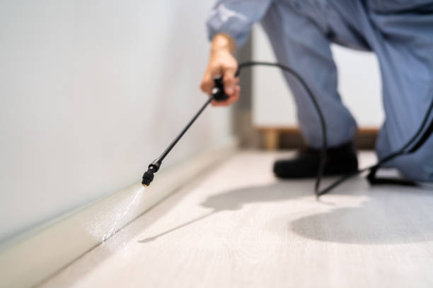 Licensed Mosquito Control service in Parksdale, CA - Show Me Pest Control