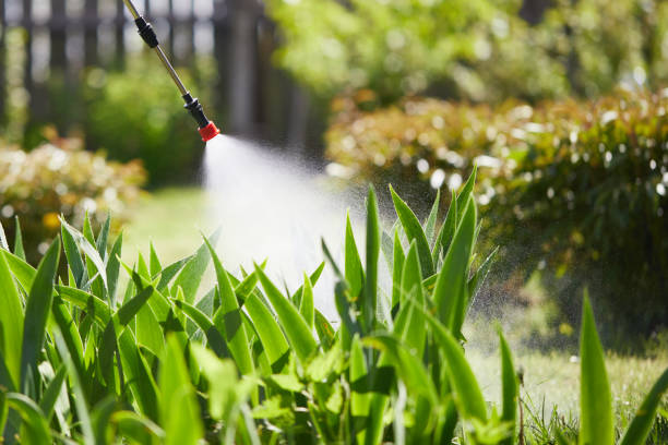 24/7 Emergency Mosquito Control experts in Parksdale, CA