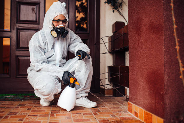 Reliable Mosquito Control contractor in Parksdale, CA by Show Me Pest Control
